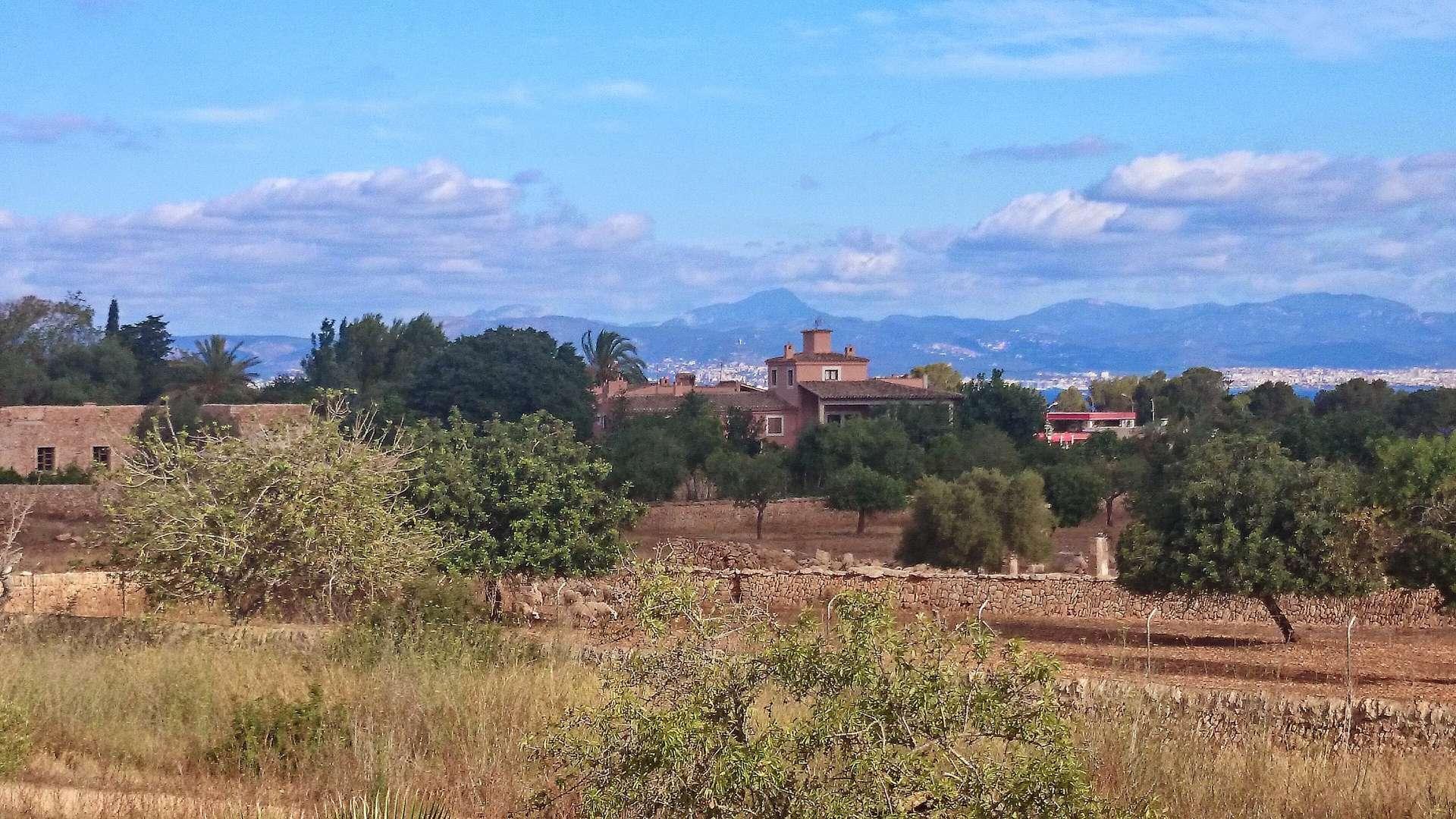  Vista de la bahía de Palma