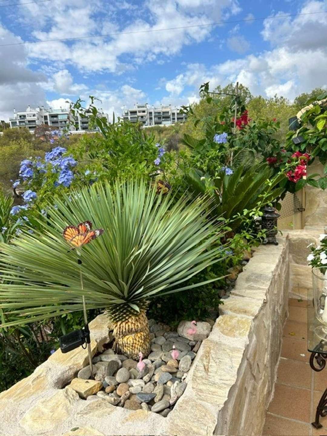 Balkon Aussicht