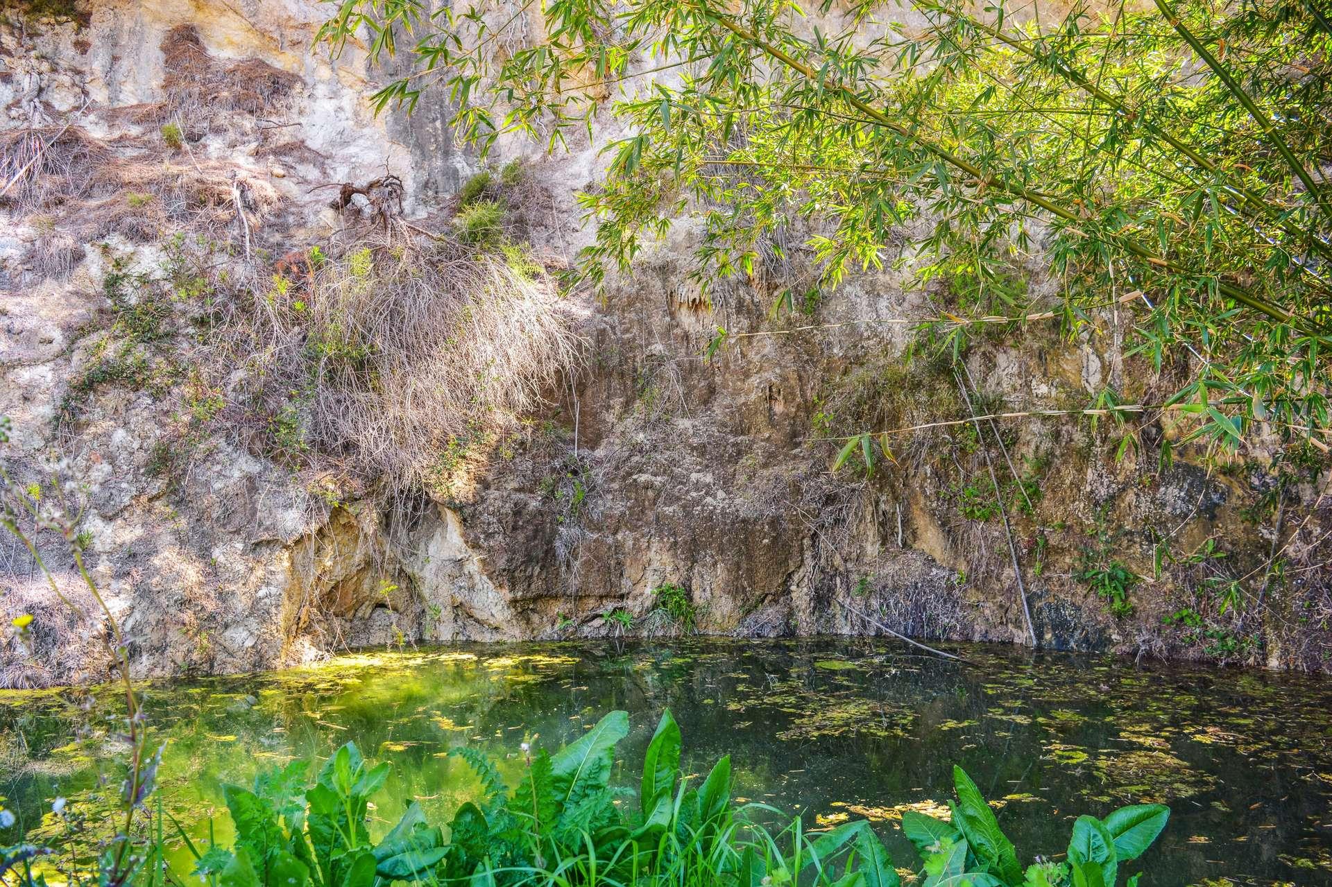 Teich/lagito/pond