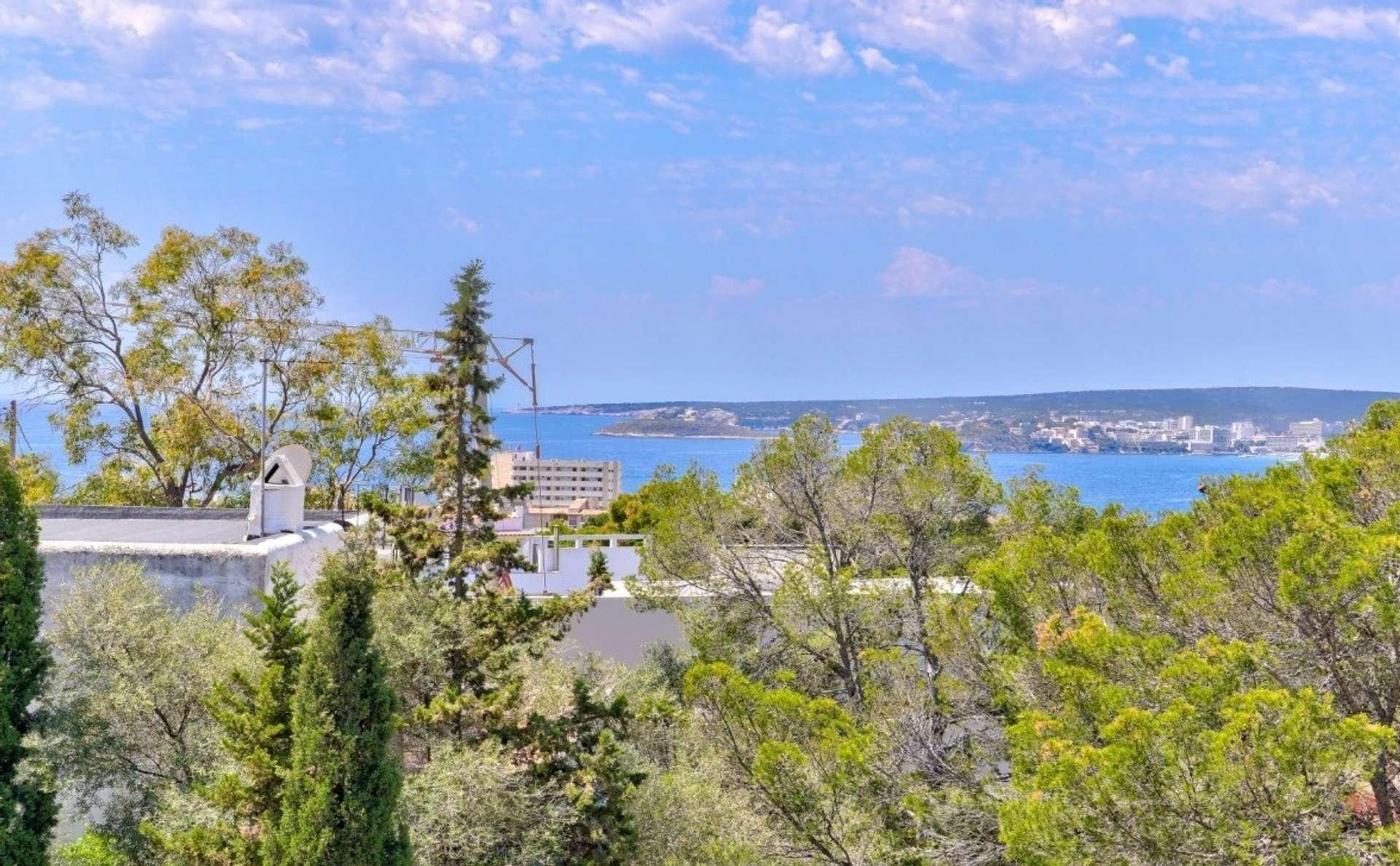 Vista del mar mallorquín