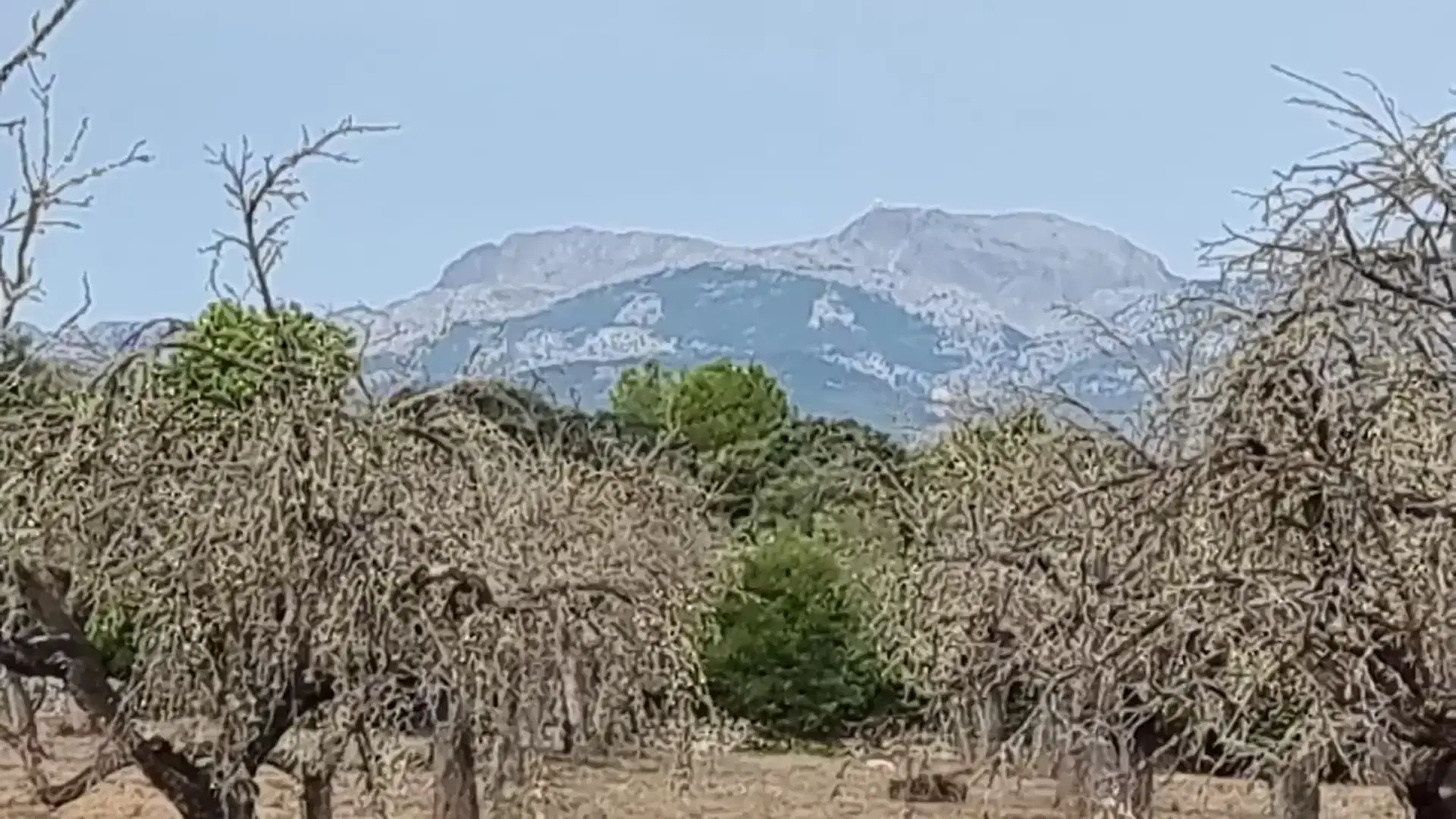 Blick auf Tramuntana