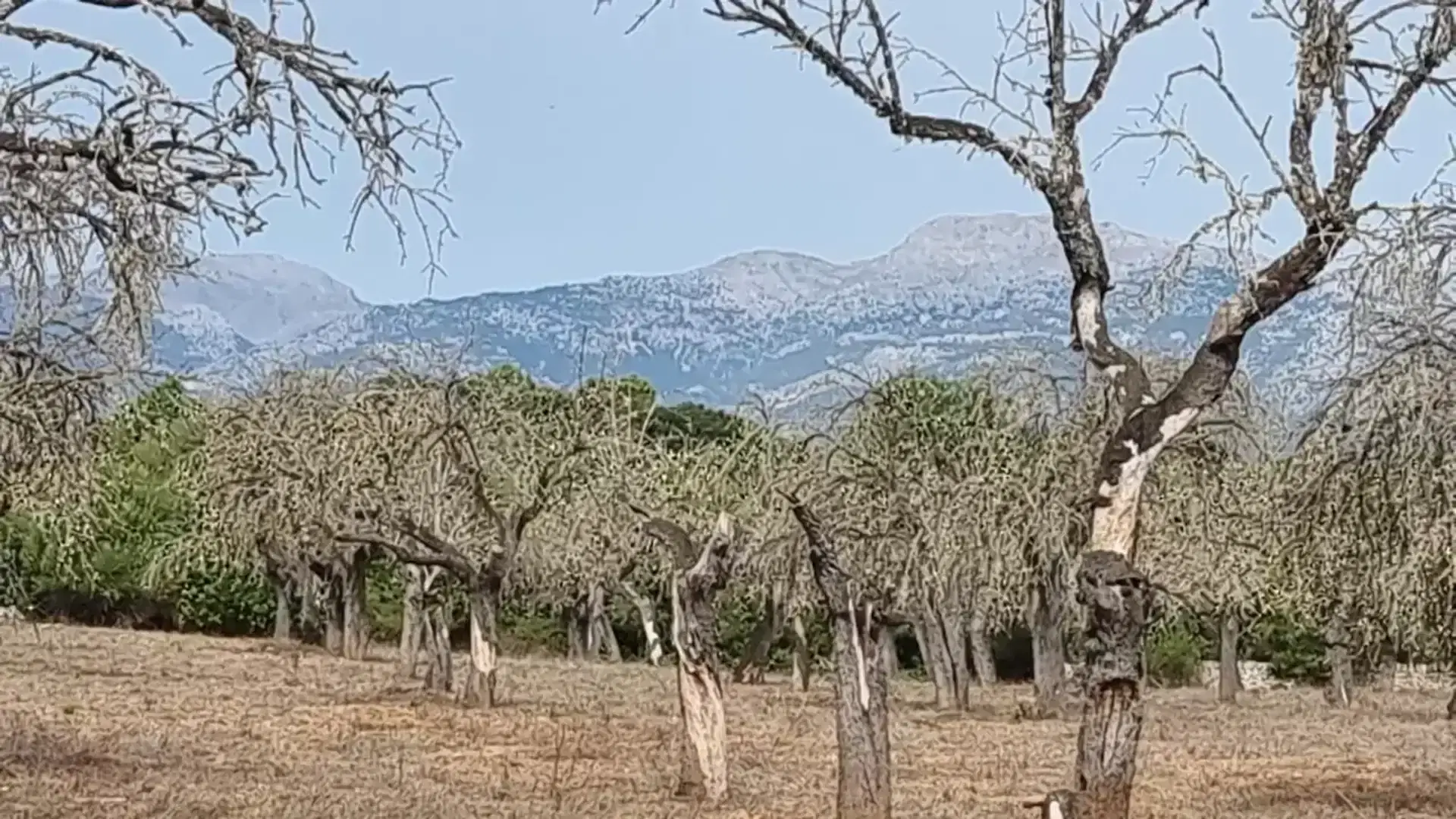 Blick auf Tramuntana