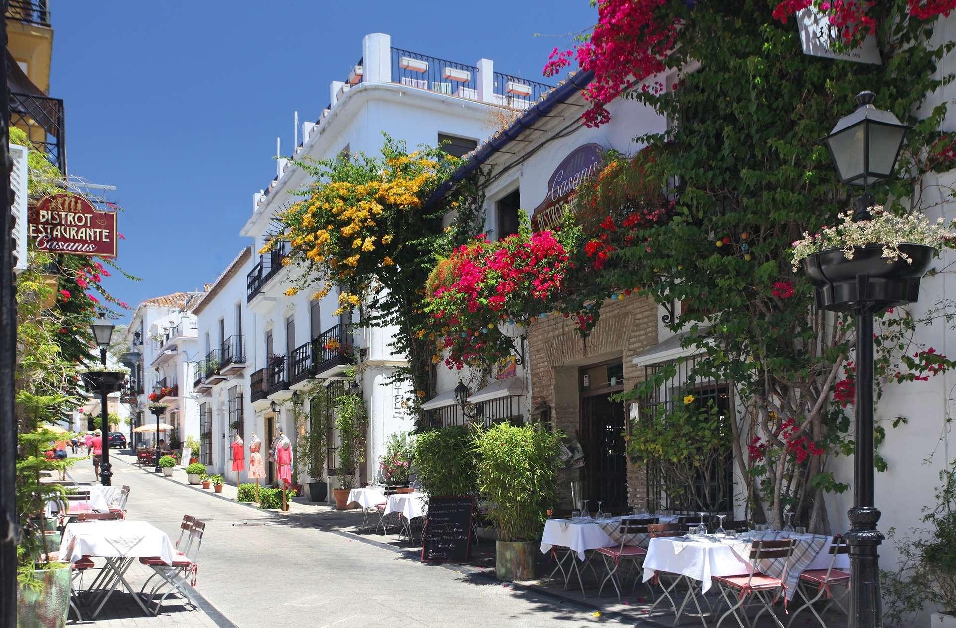 C5_Marbella - Calle Ancha Buganvillas