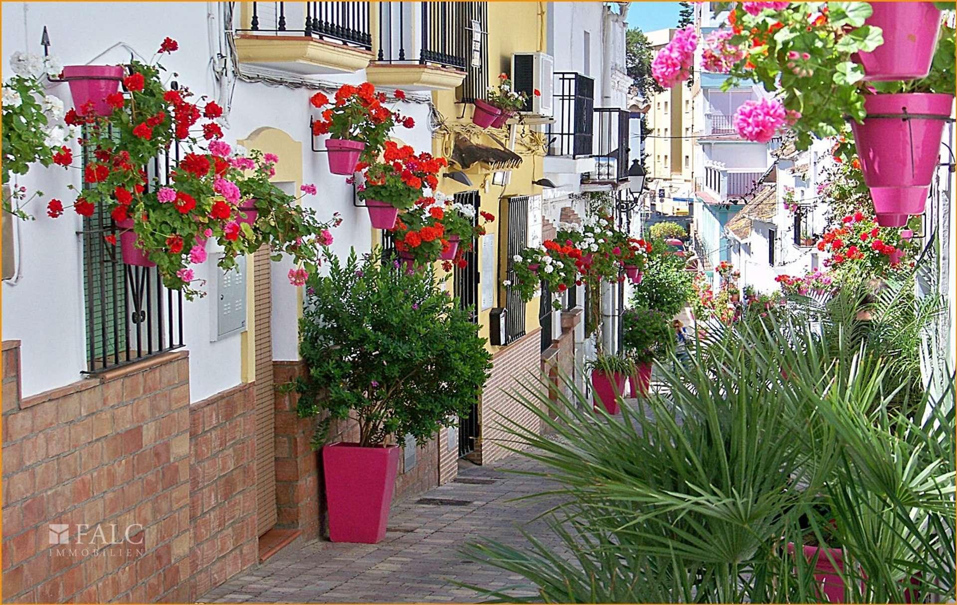 C4- Estepona - Calle Mondejar_2