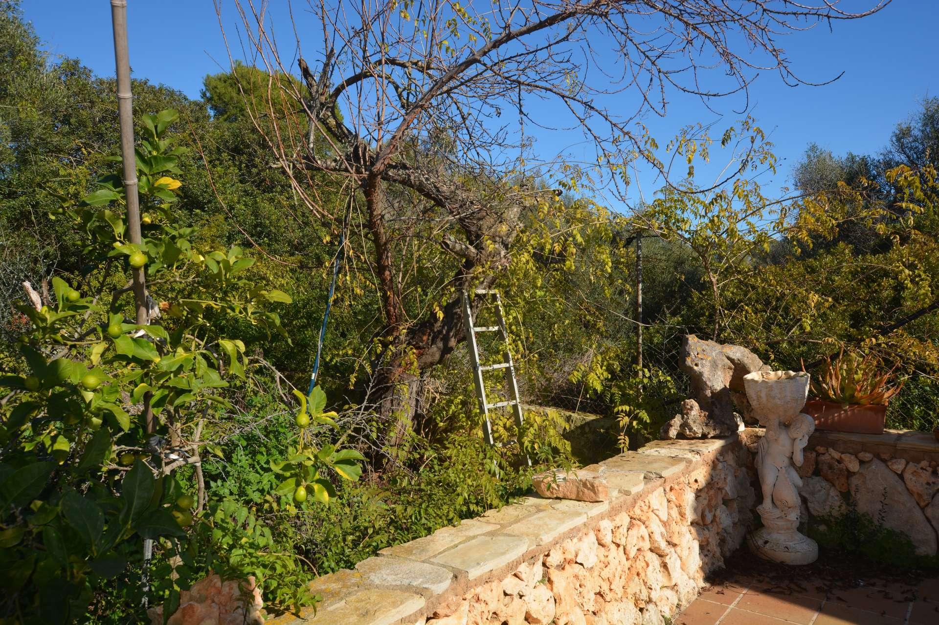 Terrasse/terraza/terrace...